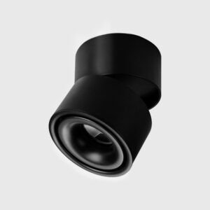 Modern black ceiling light fixture